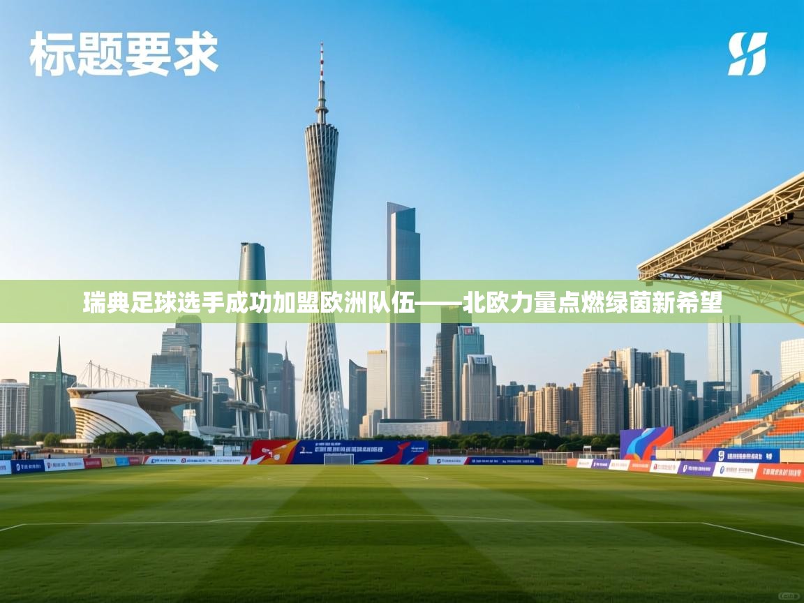 瑞典足球选手成功加盟欧洲队伍——北欧力量点燃绿茵新希望  第2张