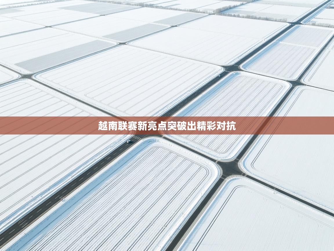 越南联赛新亮点突破出精彩对抗  第2张