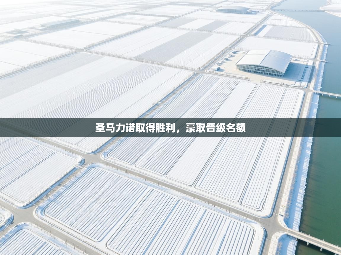 圣马力诺取得胜利，豪取晋级名额  第1张