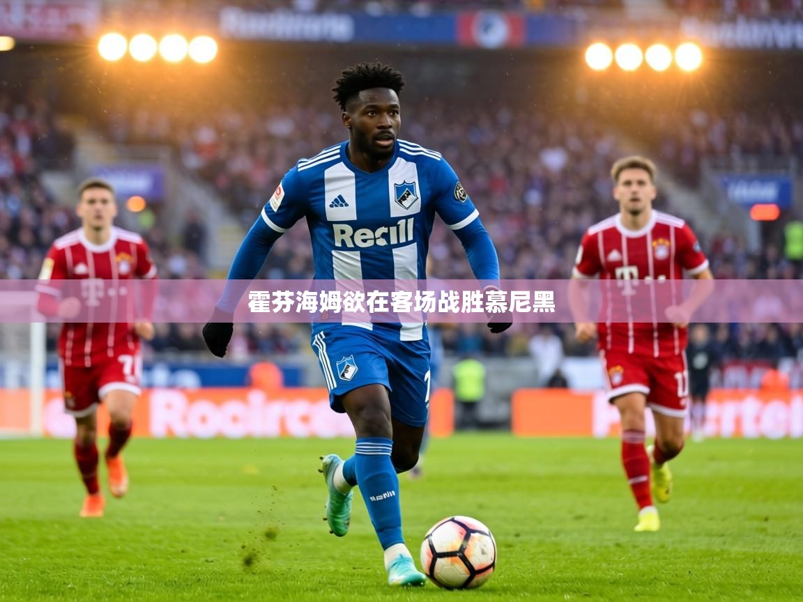 霍芬海姆欲在客场战胜慕尼黑  第2张