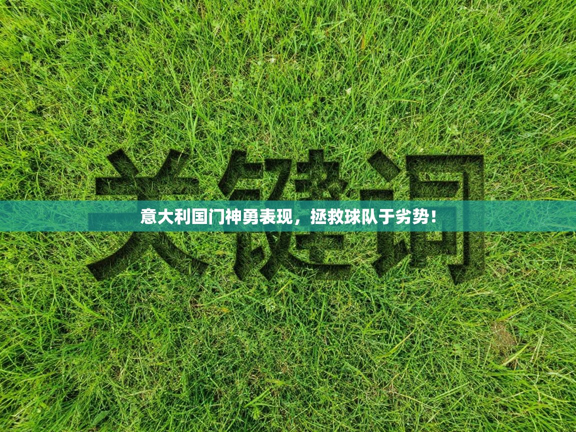 意大利国门神勇表现,拯救球队于劣势! 第1张